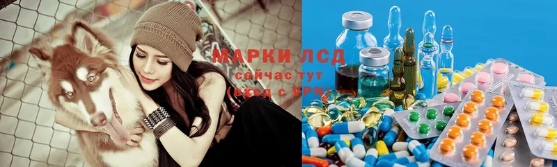 кракен зеркало  нарко площадка телеграм  ЛСД экстази ecstasy  Курган 